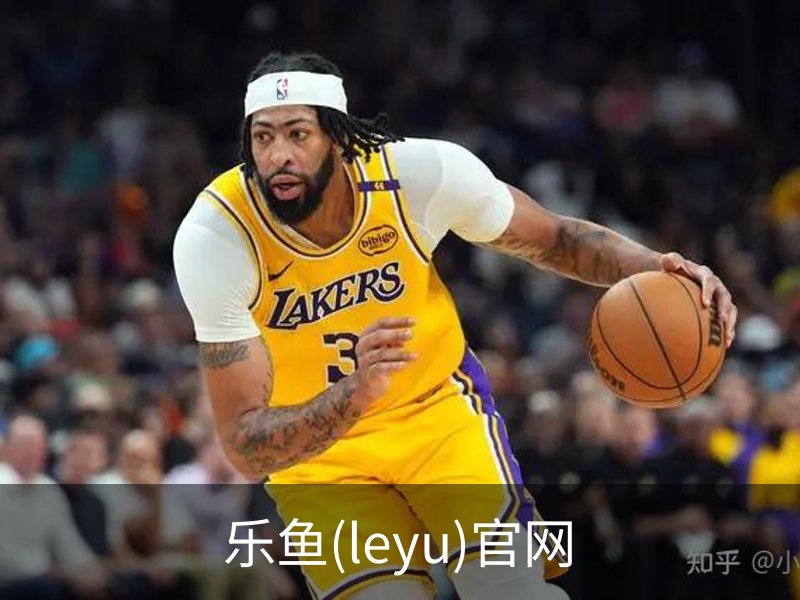 乐鱼(leyu)官网简介